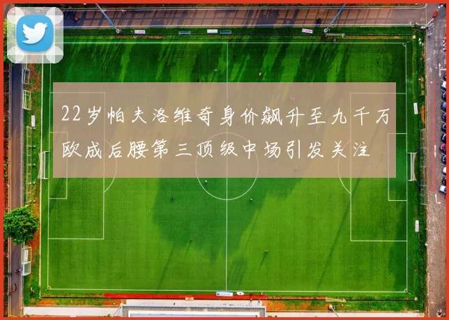 22岁帕夫洛维奇身价飙升至九千万欧成后腰第三顶级中场引发关注