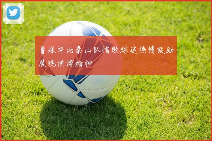 鲁媒评论泰山队惜败球迷热情鼓励展现拼搏精神